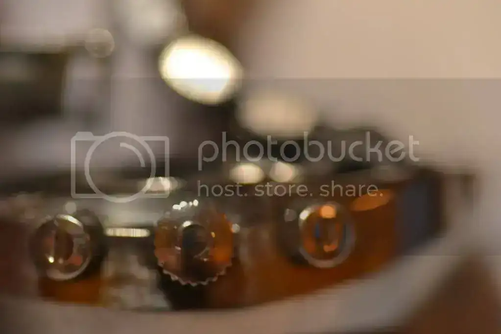 DSC_0689.webp
