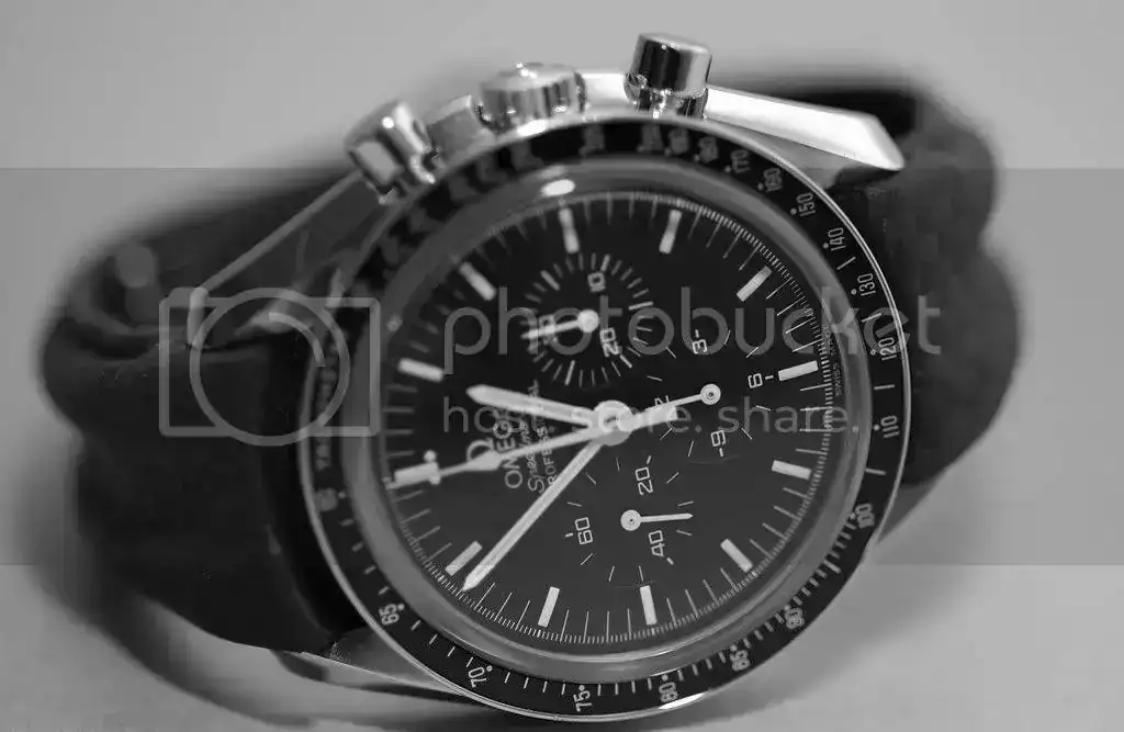 DSC_0897bw.webp