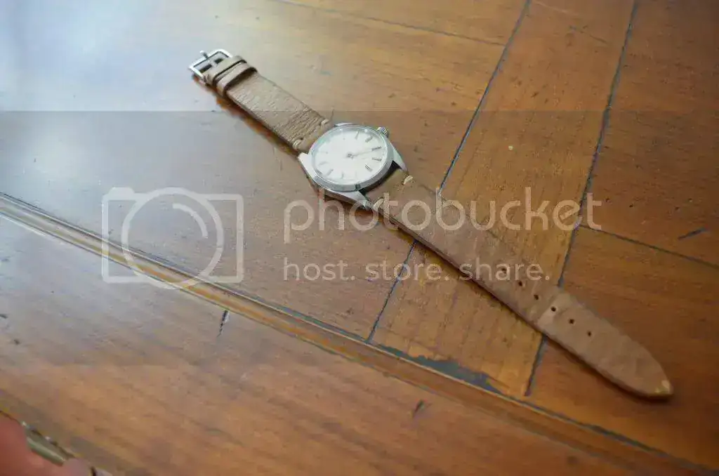 DSC_0931_zps6f807f86.webp