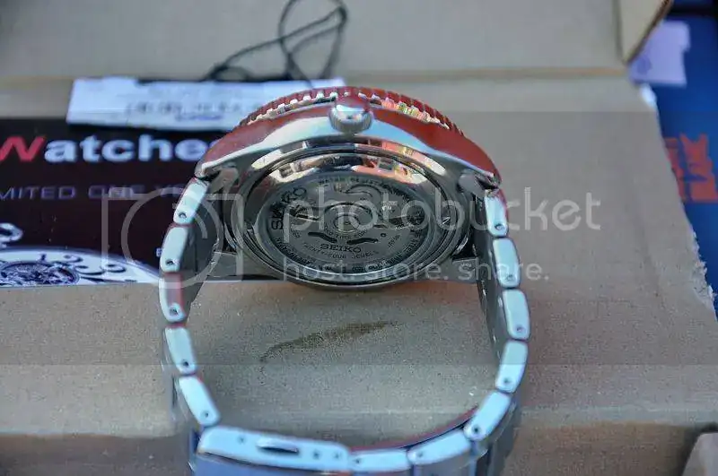 DSC_0986_zpsduwosszz.webp