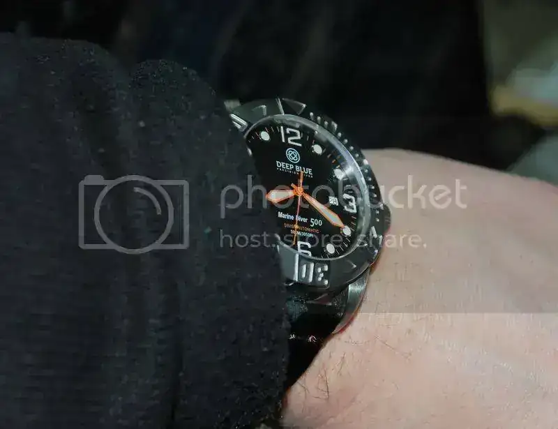 DSC_1004_zps569e3e4a.webp