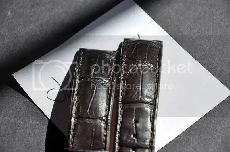 DSC_1018_zpsspejc9za.webp