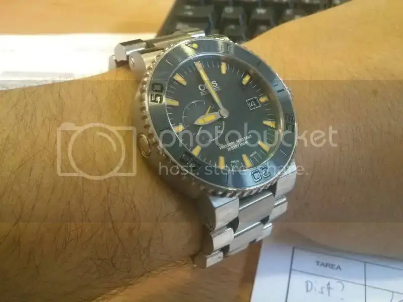 DSC_1235_zpsa7a141b8.webp