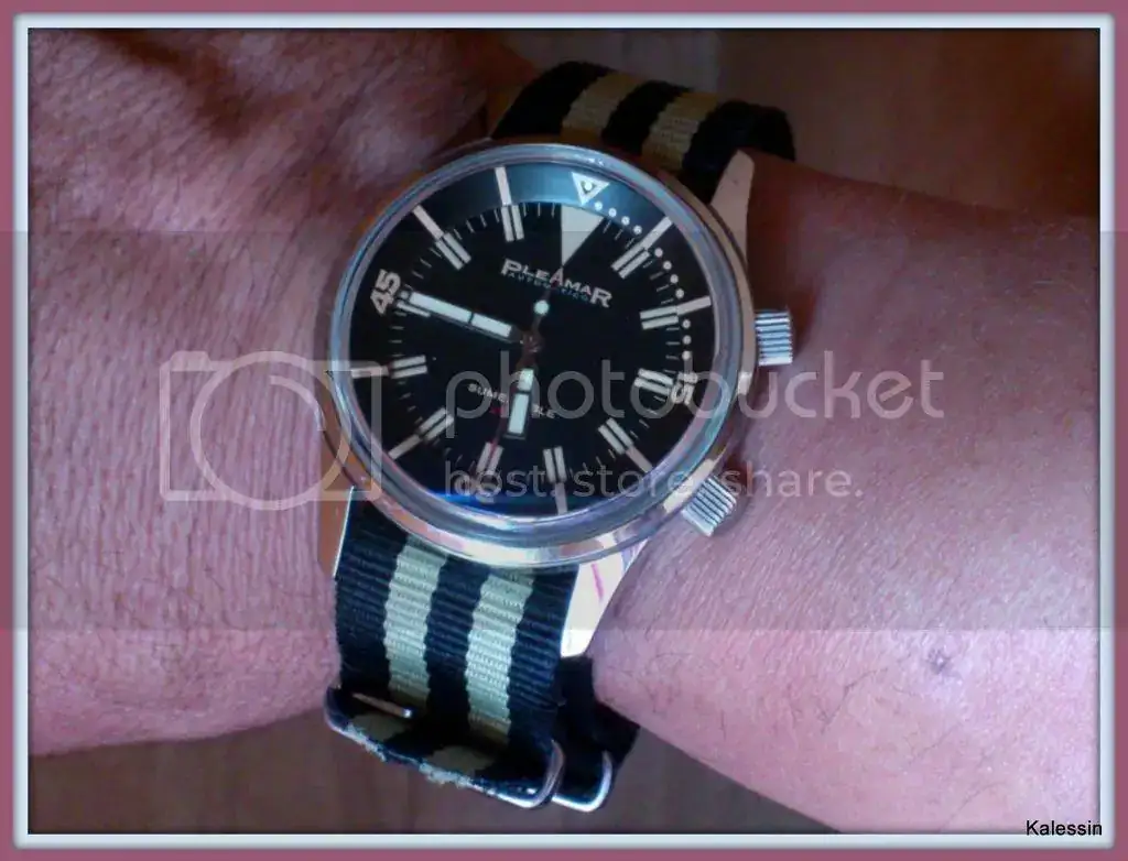 DSC_1263-001_zps307ca8ed.webp