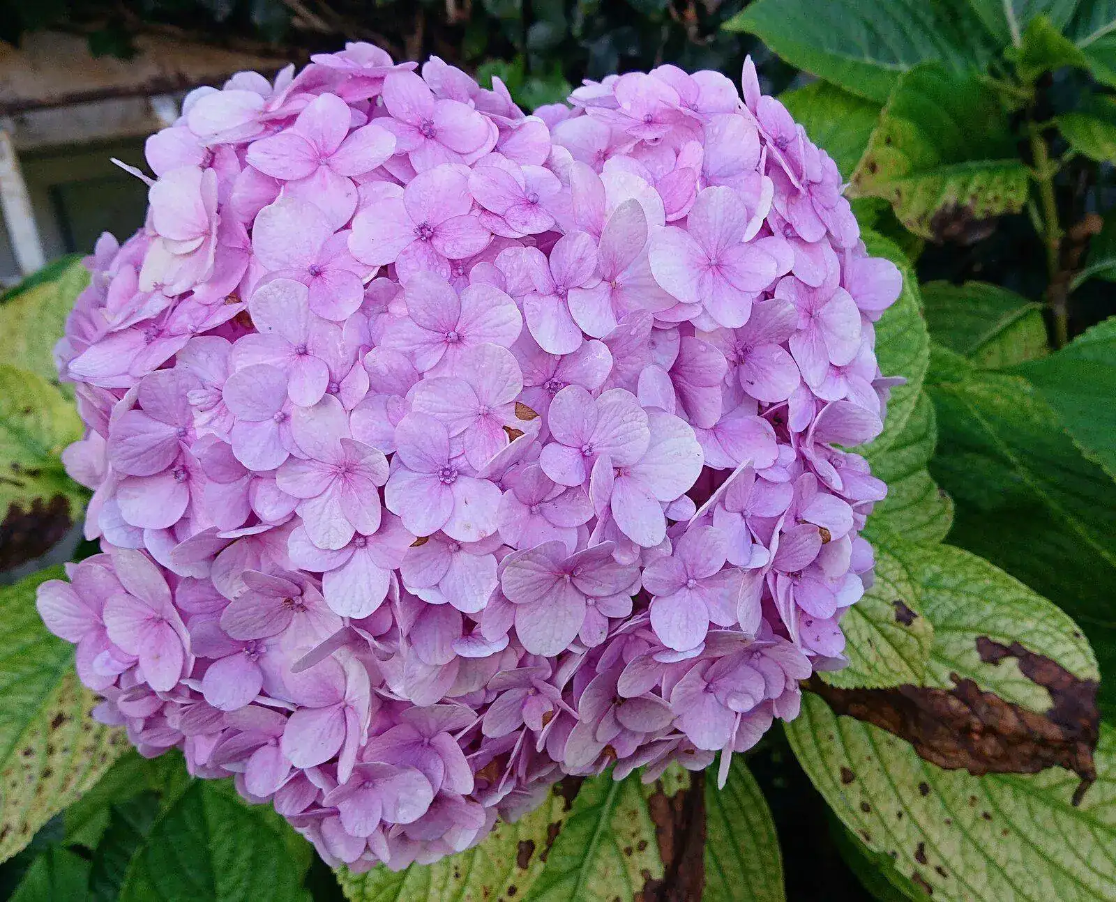 DSC_1404~3.webp