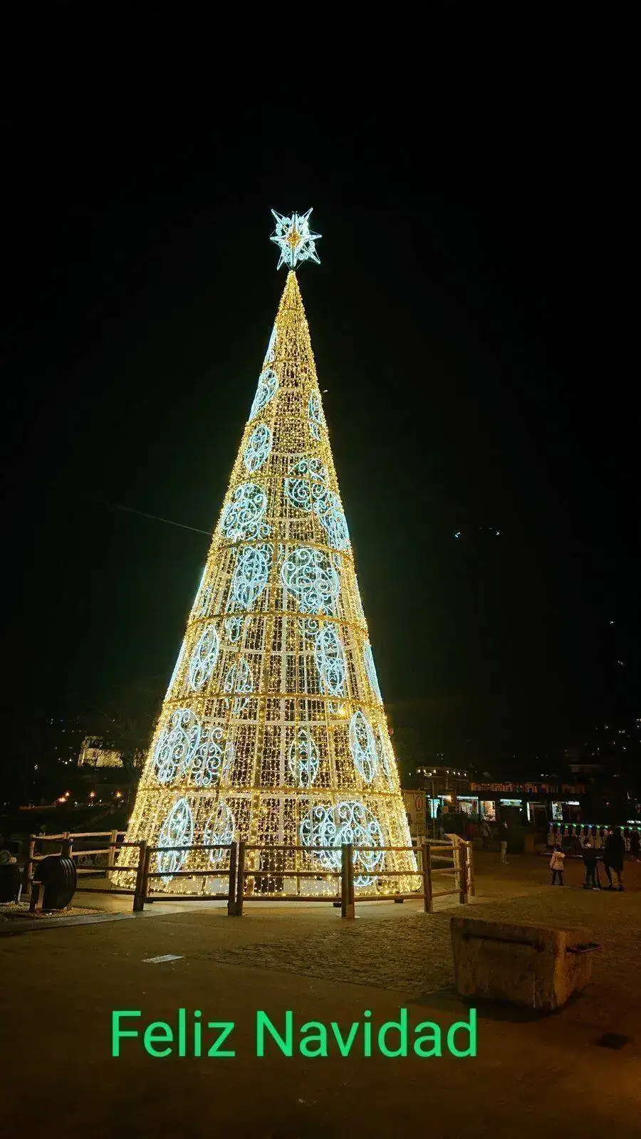 DSC_1463~3.webp