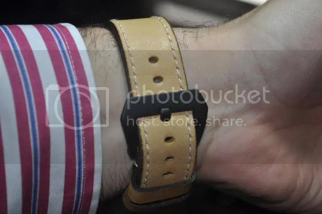 DSC_1469_zpsdd76fcfa.webp