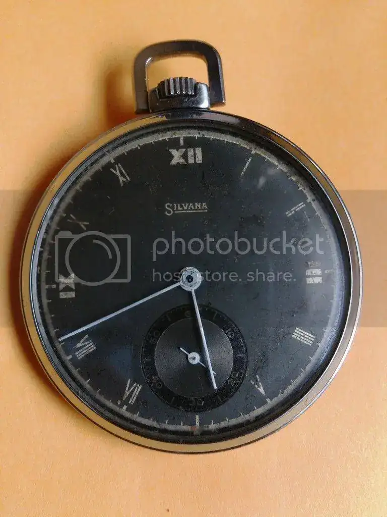DSC_1604_zpstnrcsmkn.webp