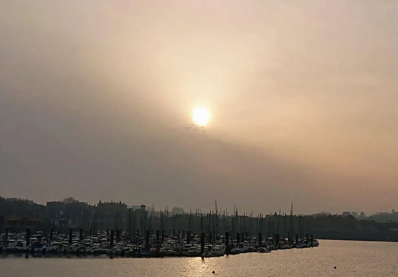 DSC_1943~2.webp