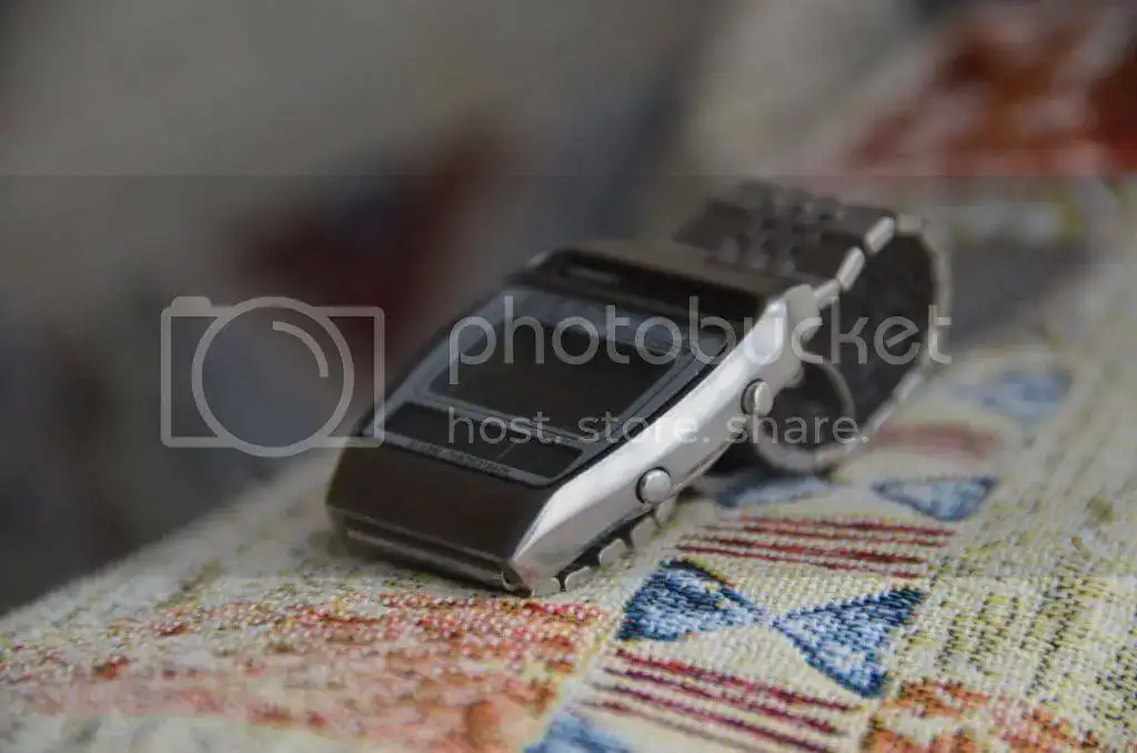 DSC_1946.webp