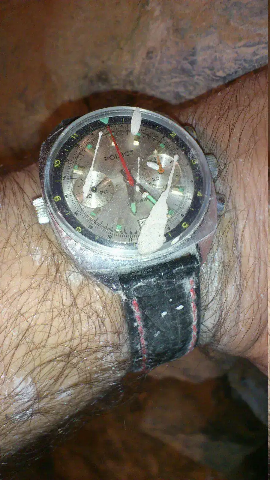 DSC_2870.webp