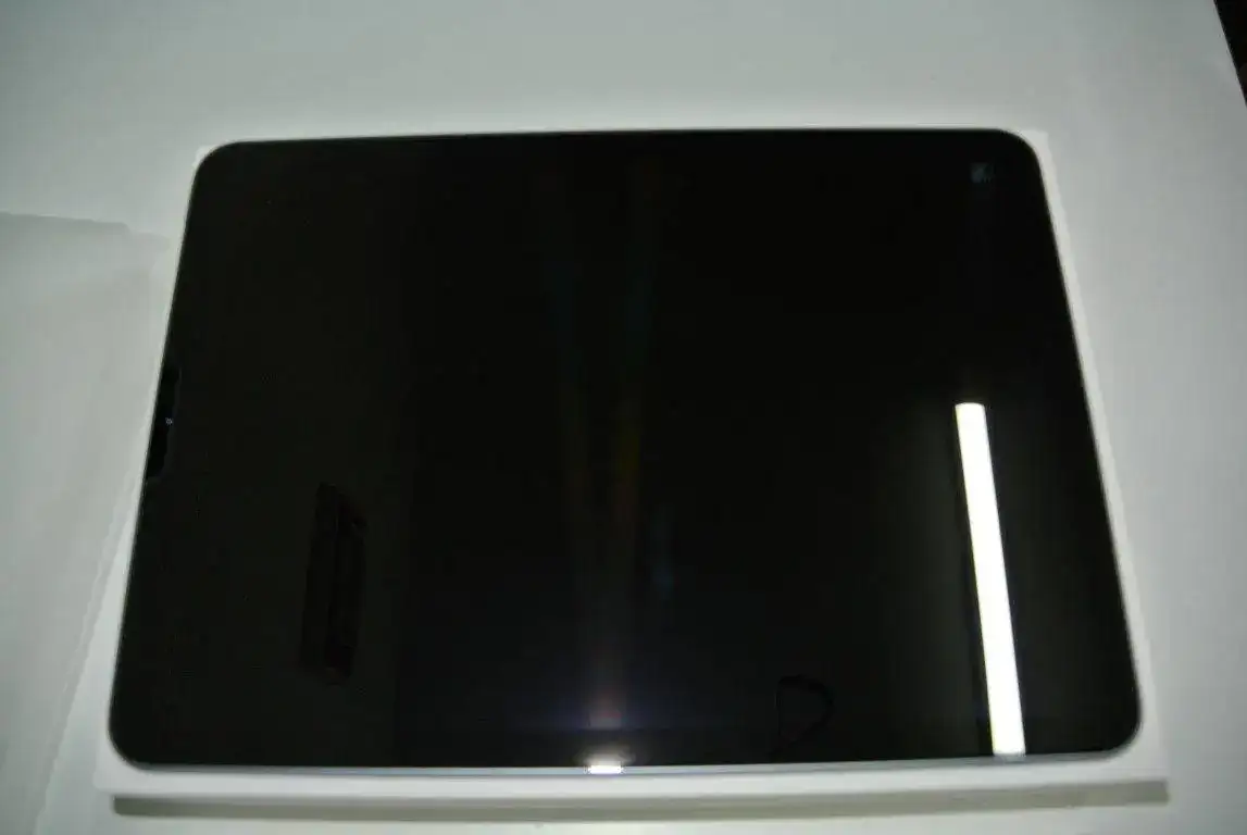 DSC_3429 (Medium).webp