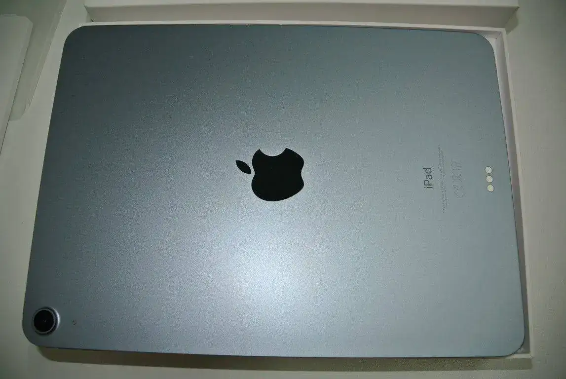 DSC_3431 (Medium).webp