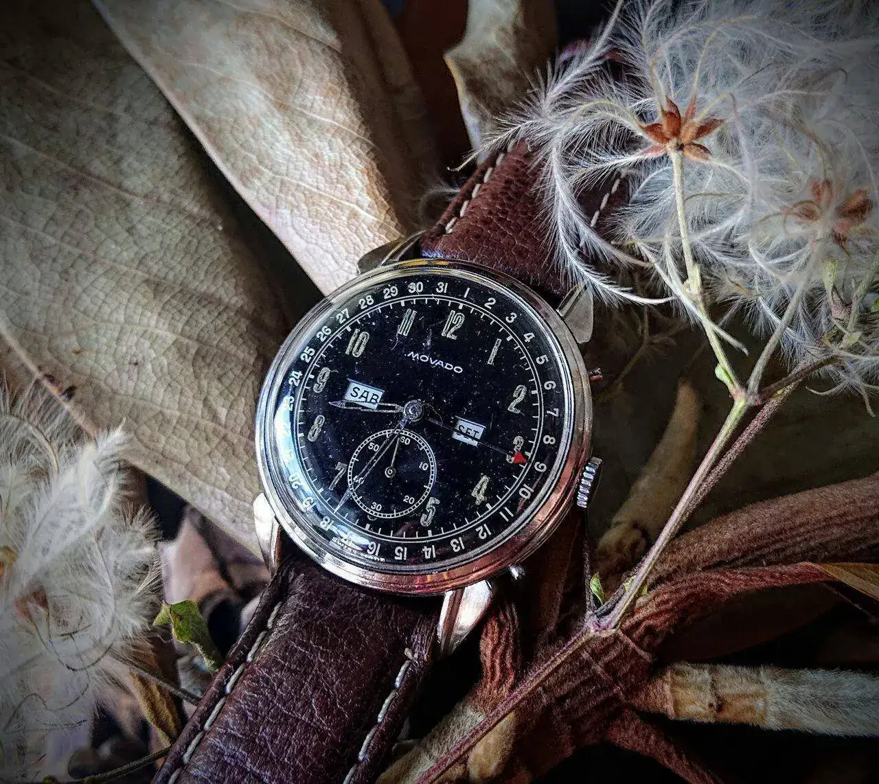 Relojes movado online son buenos