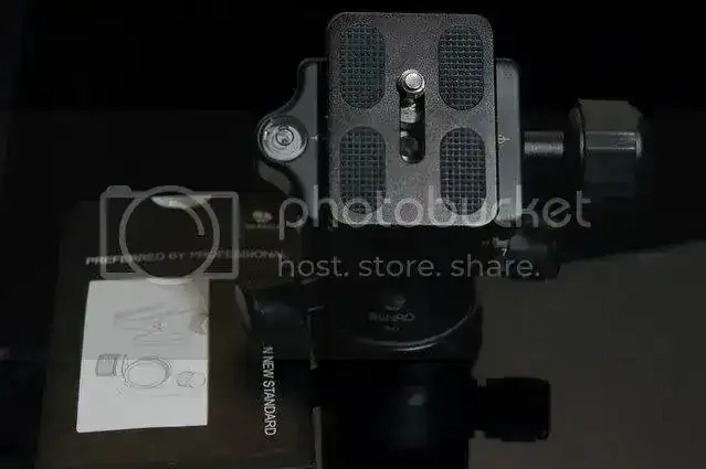DSC_7272.webp