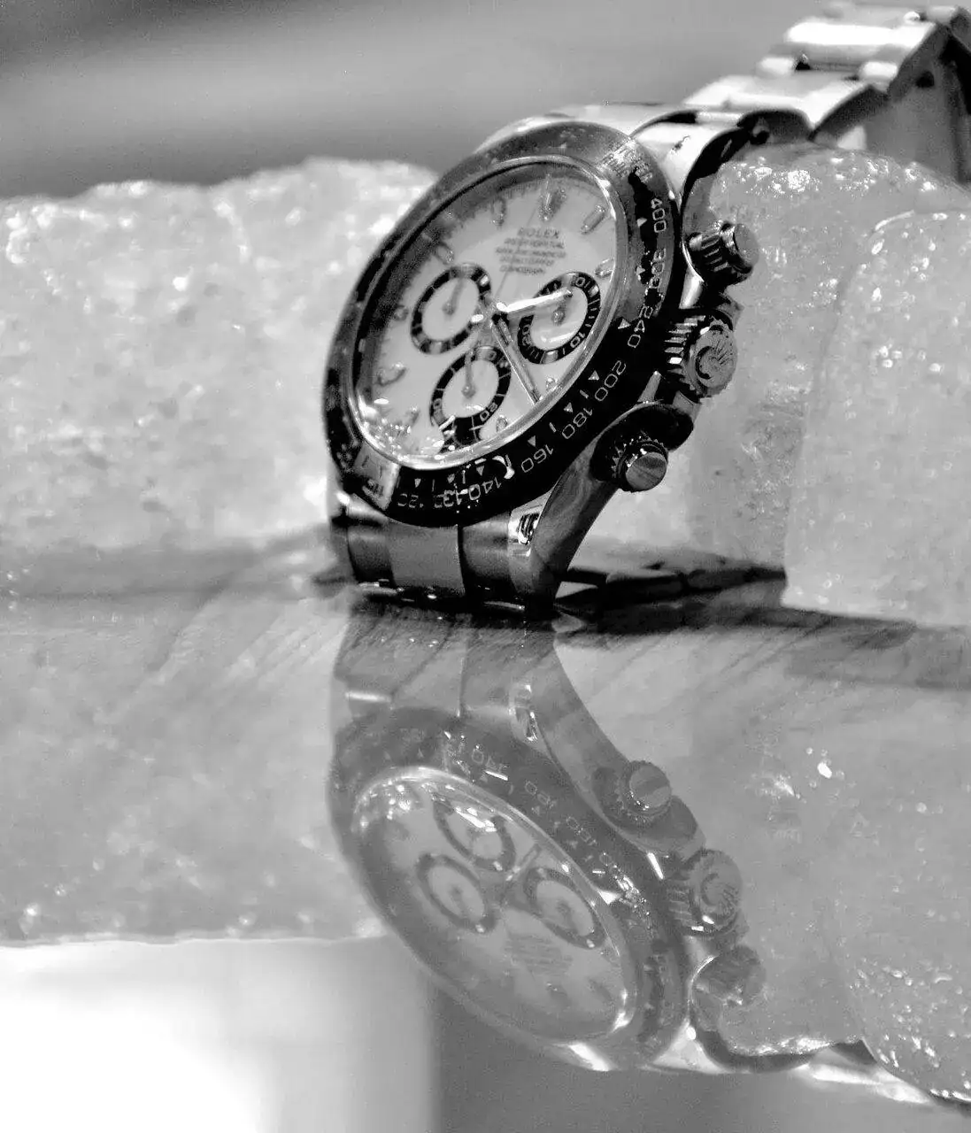 DSC_7756.webp