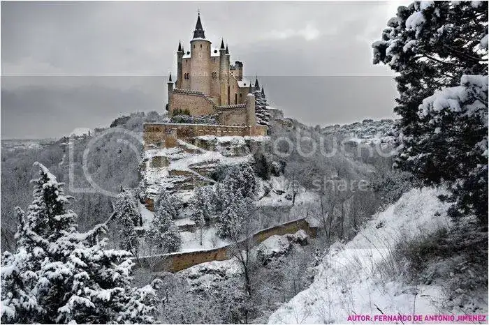 Dsc_image%20271_zpspxd6apvi.webp