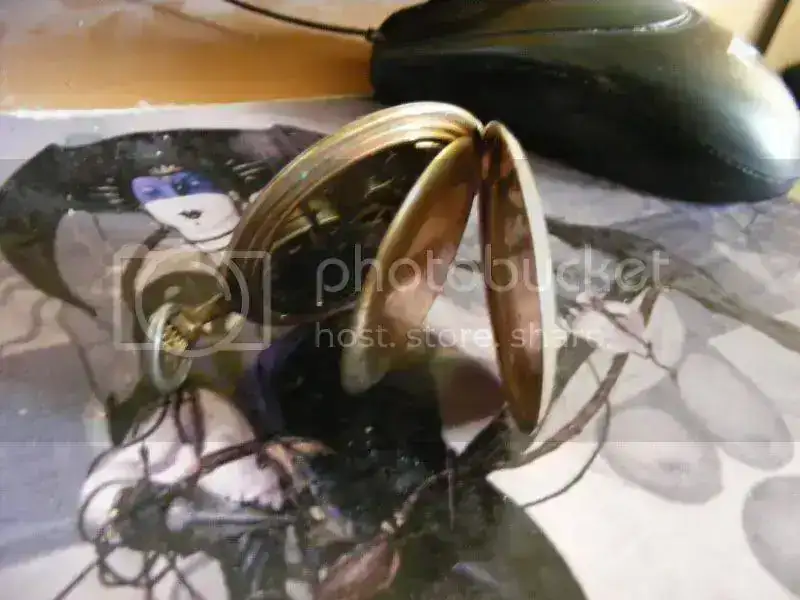 DSCF0027.webp