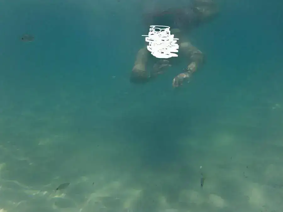 DSCF0354.webp