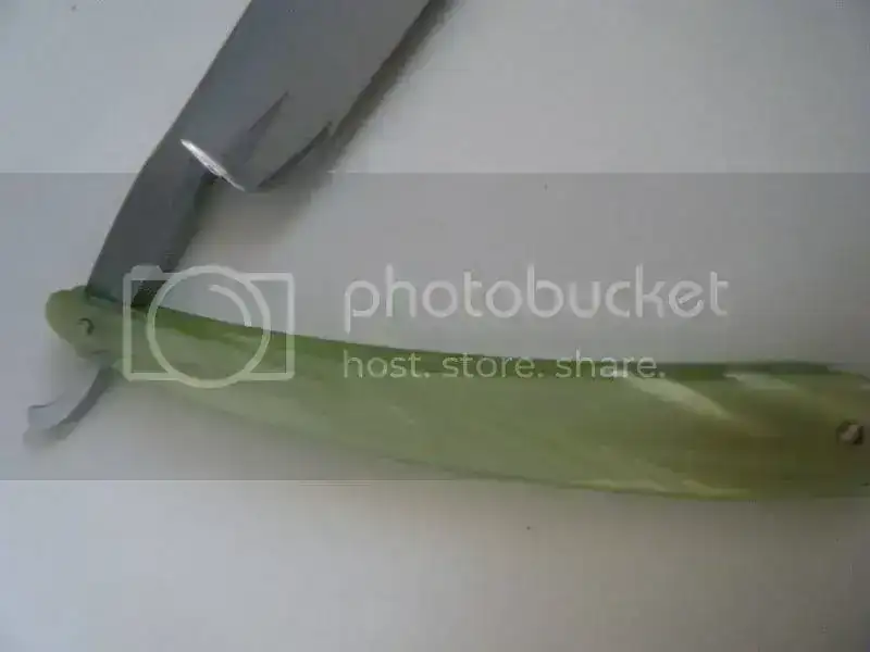 DSCF0478.webp