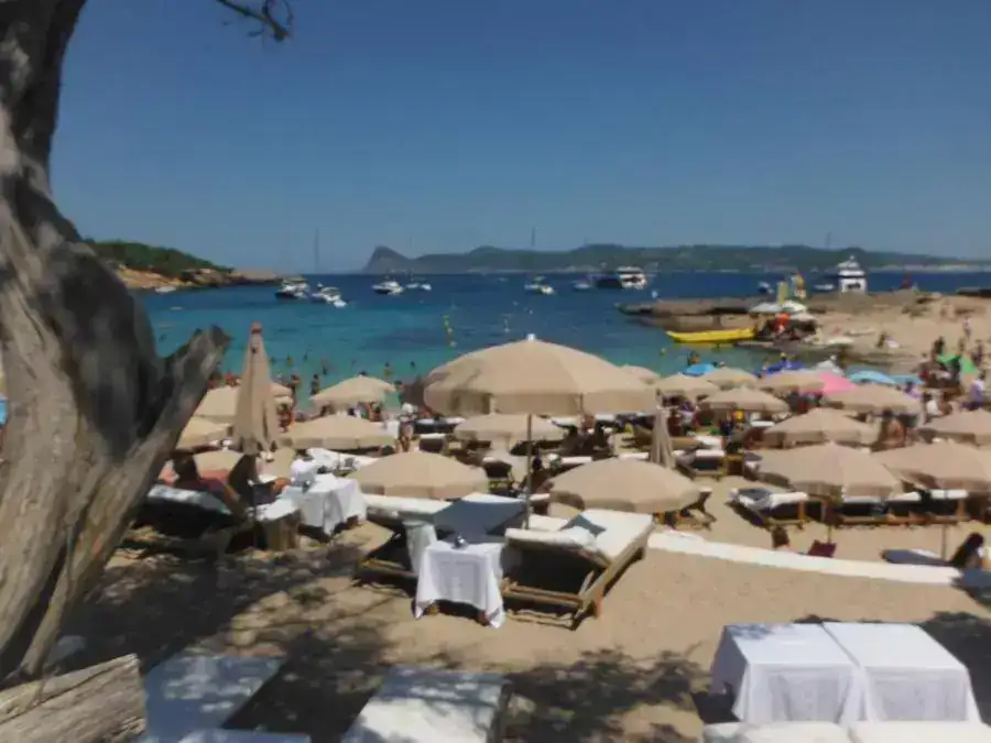 DSCF0700.webp