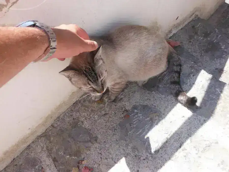 DSCF0956.webp