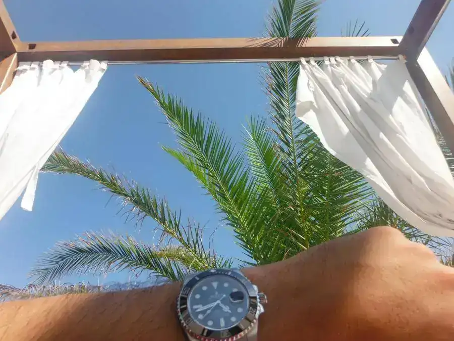 DSCF0982.webp