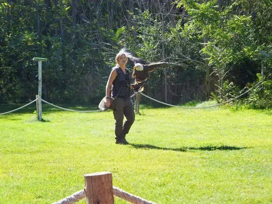 DSCF1606.webp
