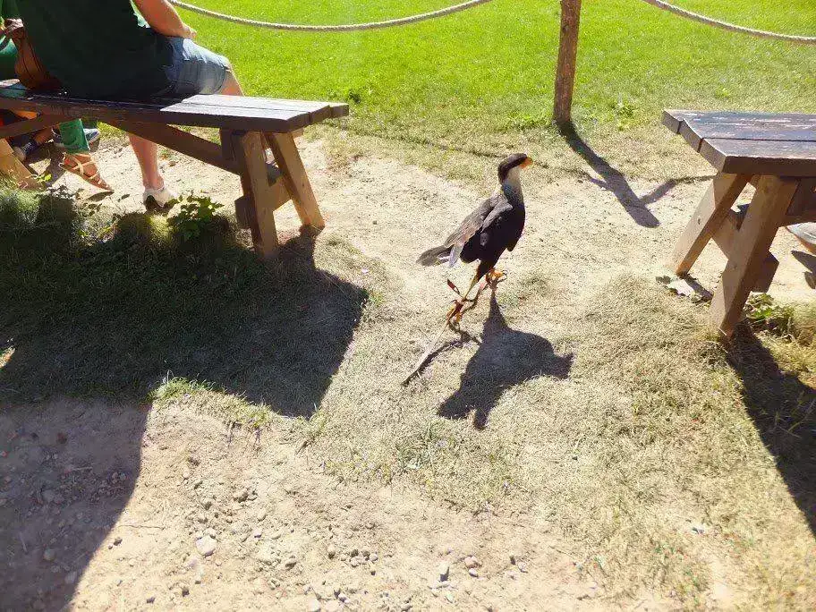 DSCF1636.webp