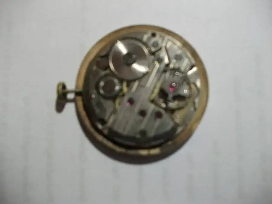 DSCF1700.webp
