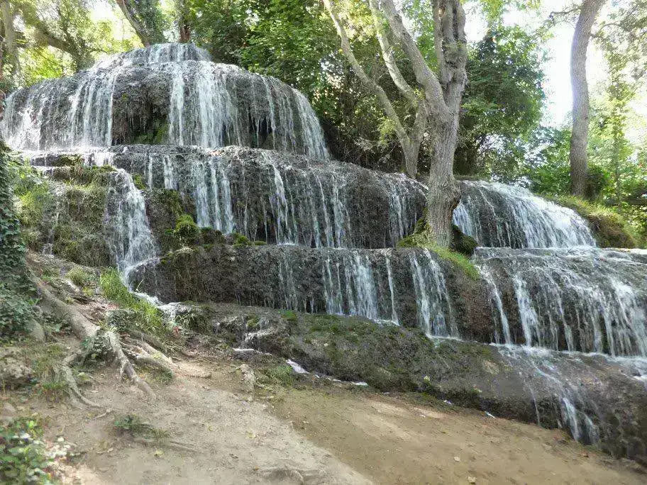 DSCF1735.webp