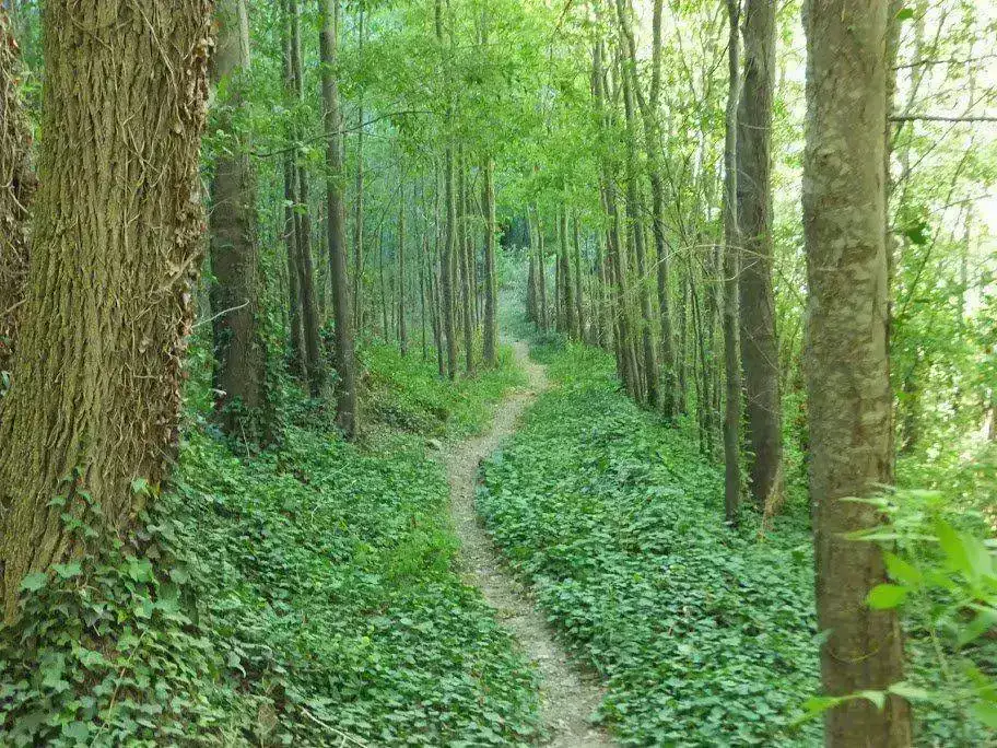 DSCF1821.webp