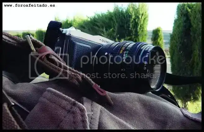 DSCF1845.webp
