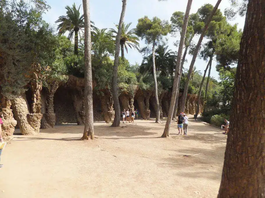 DSCF2540.webp