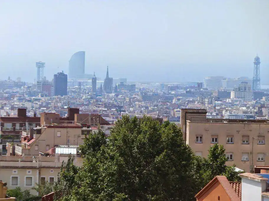 DSCF2585.webp
