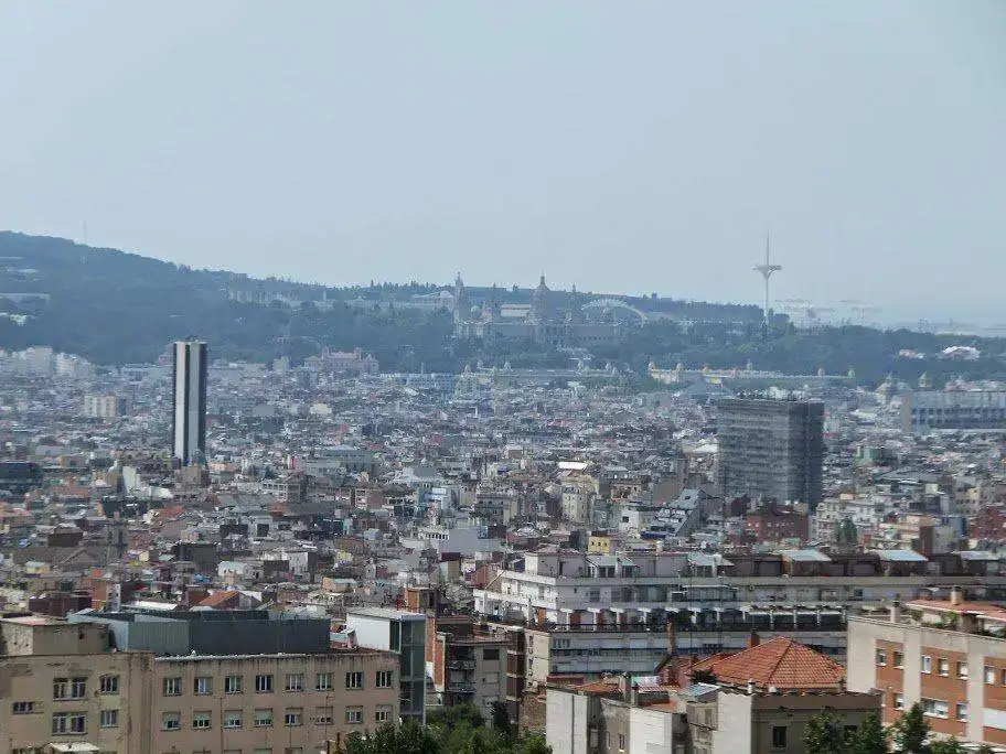 DSCF2599.webp