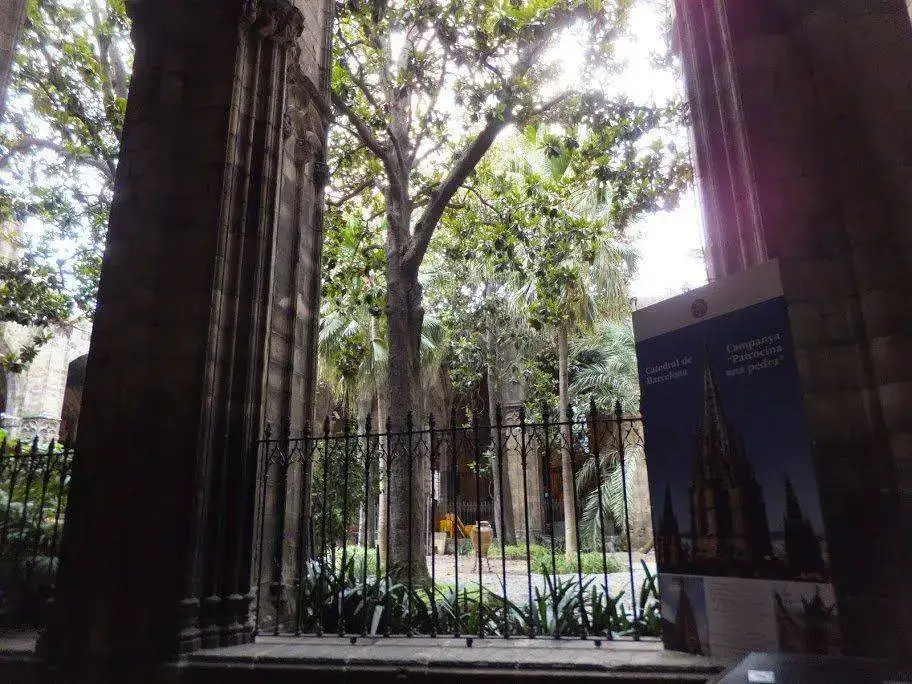 DSCF2665.webp