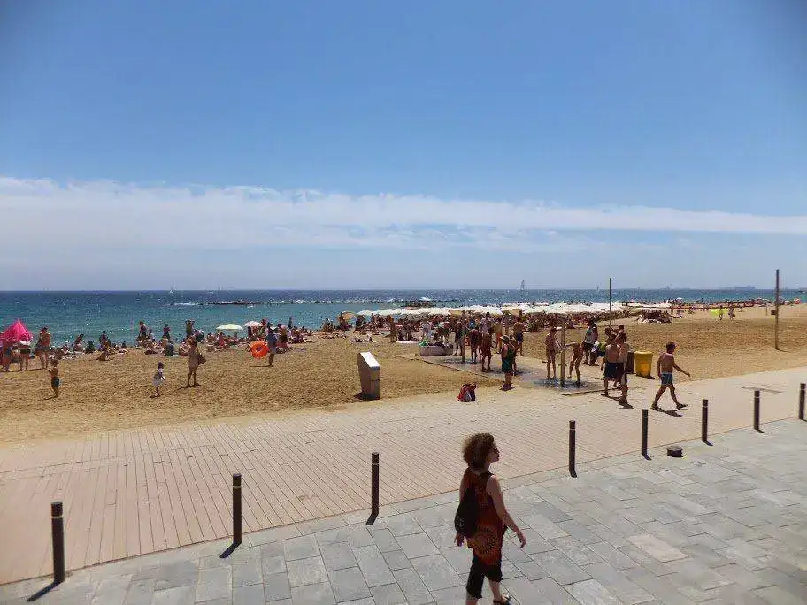 DSCF2686.webp