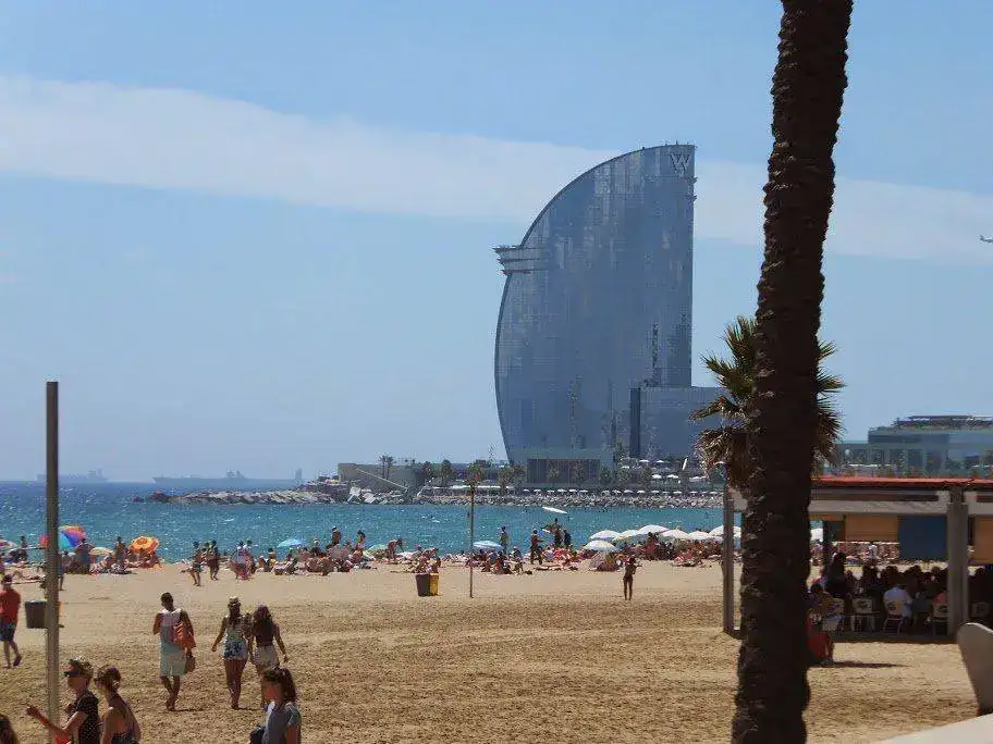 DSCF2688.webp