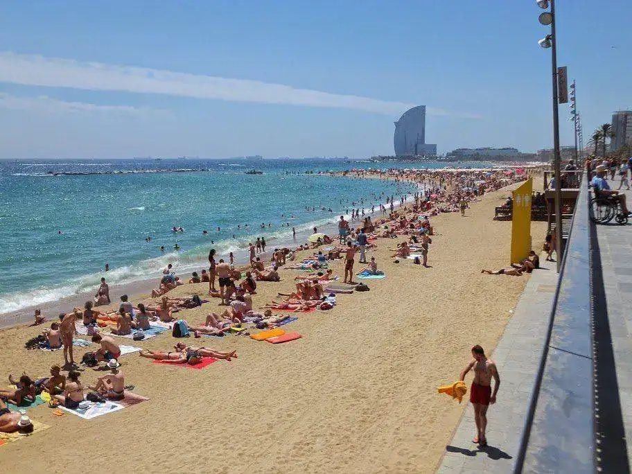 DSCF2696.webp