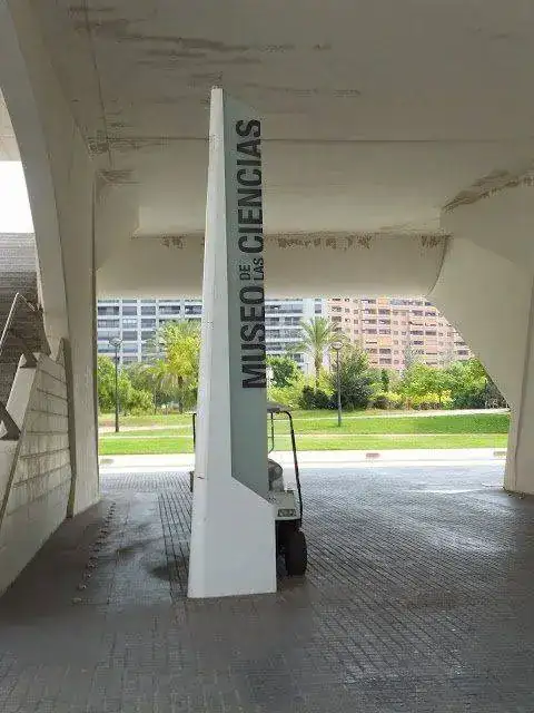DSCF2829.webp
