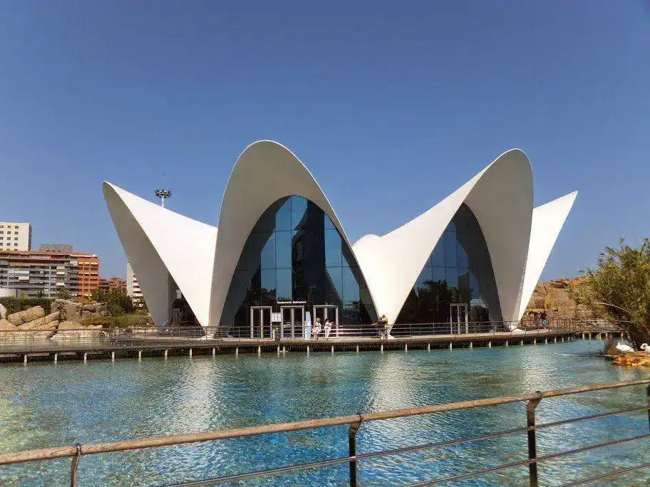 DSCF2921.webp