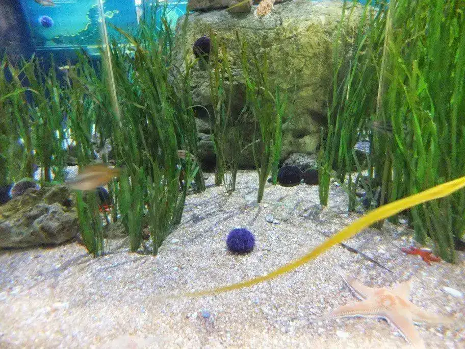 DSCF2928.webp