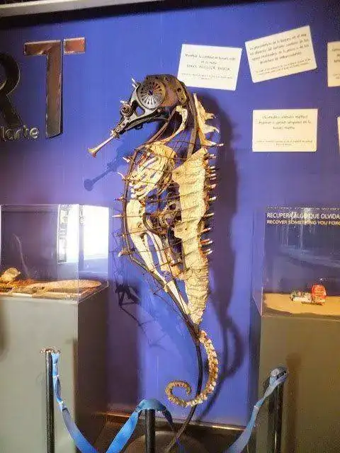 DSCF2930.webp