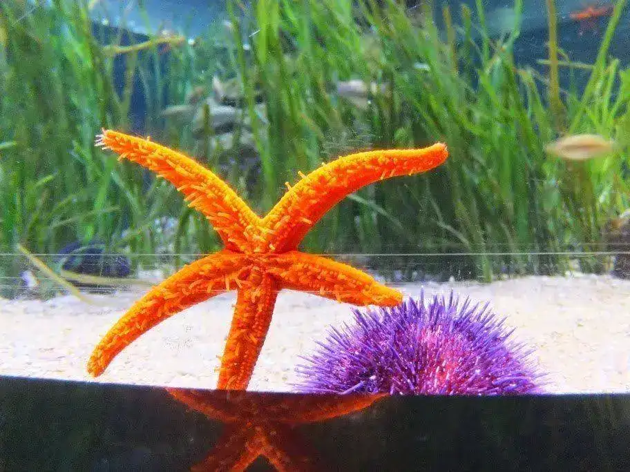 DSCF2932.webp