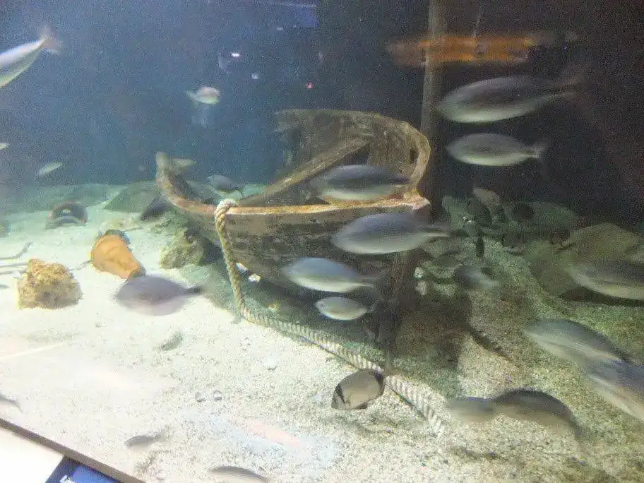 DSCF2935.webp
