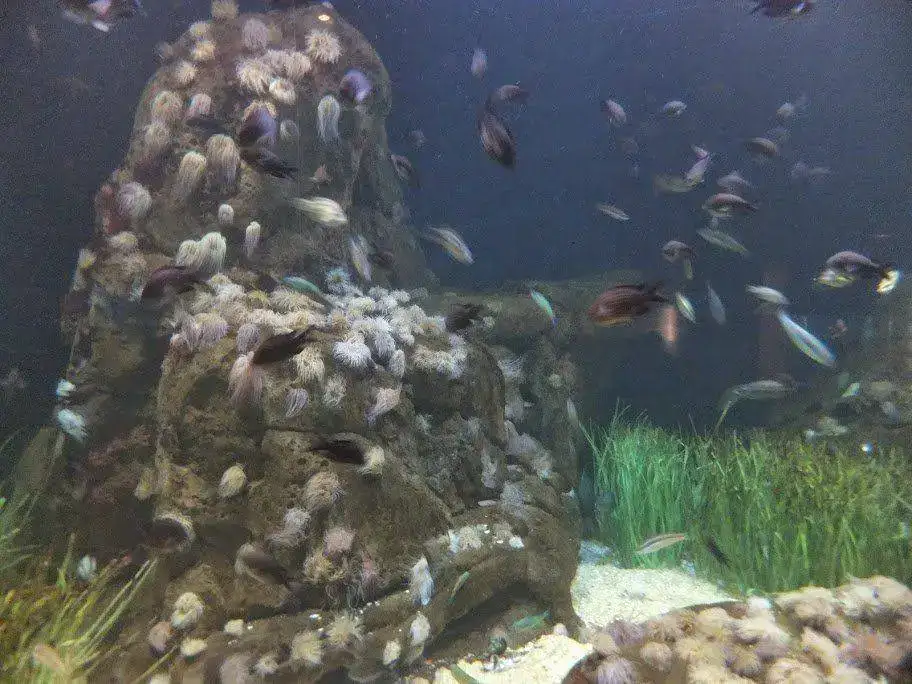 DSCF2942.webp