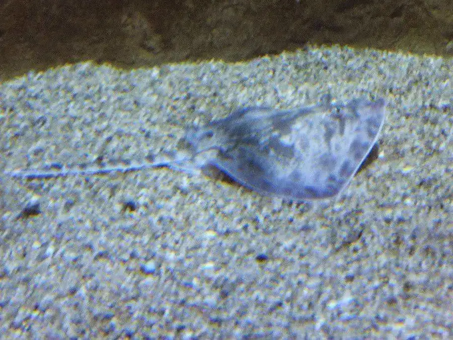DSCF2959.webp