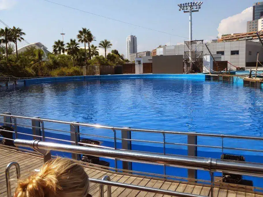 DSCF2963.webp