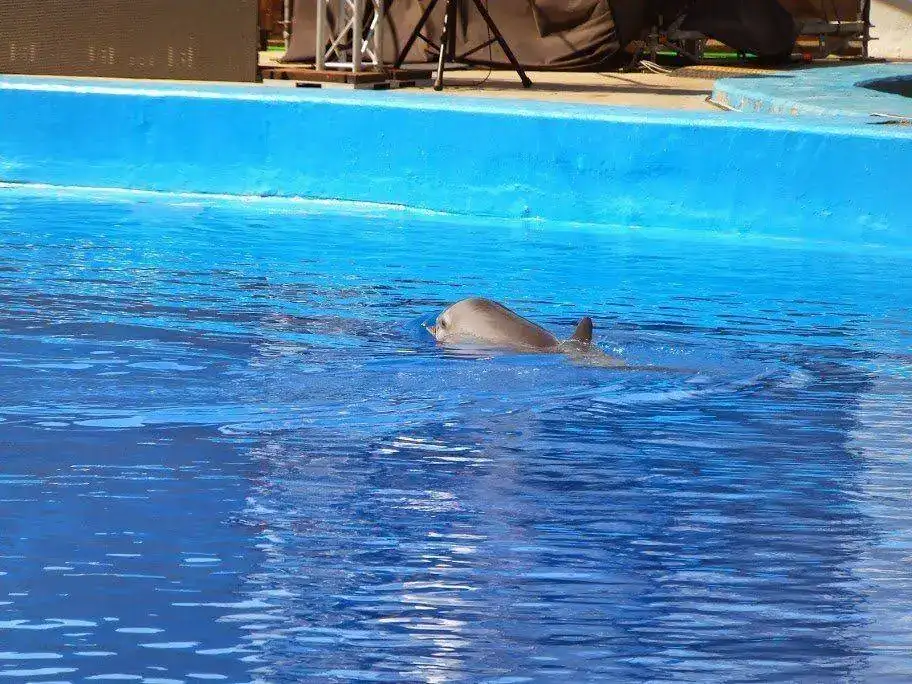DSCF2968.webp